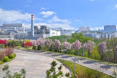 河鋼集團(tuán)唐鋼公司低壓控制柜、PLC控制柜、中控室系統(tǒng)